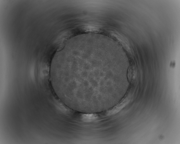 X0000103310281200808291436