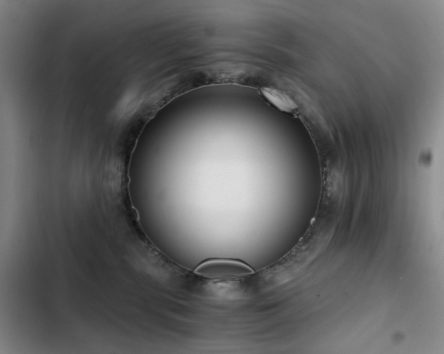 X0000103310283200808291436