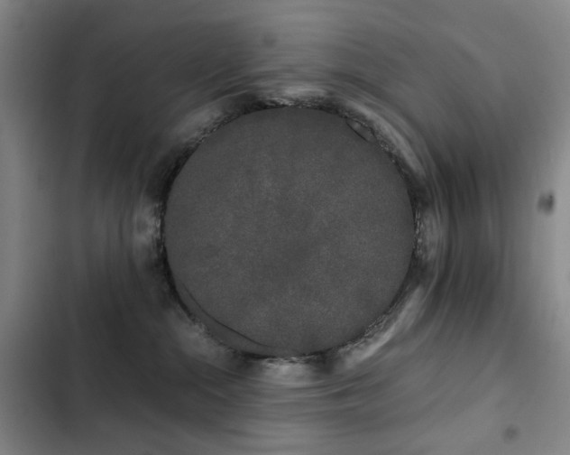 X0000103310284200808291436