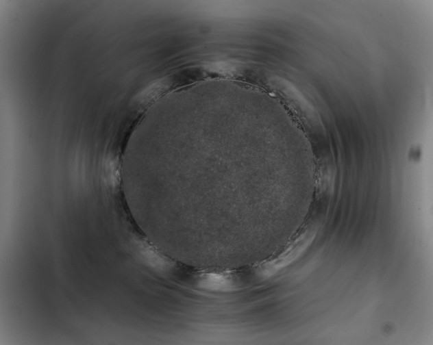 X0000103310285200808291436