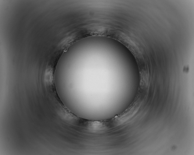 X0000103310287200808291436