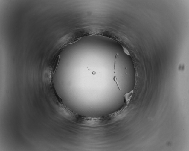 X0000103310288200808291436