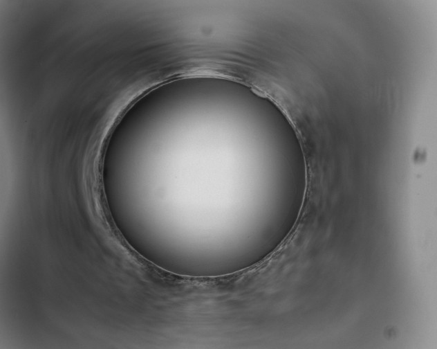 X0000103310289200808291435