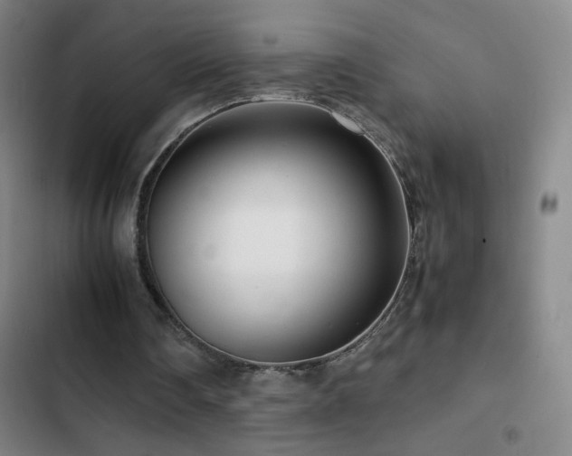 X0000103310290200808291435