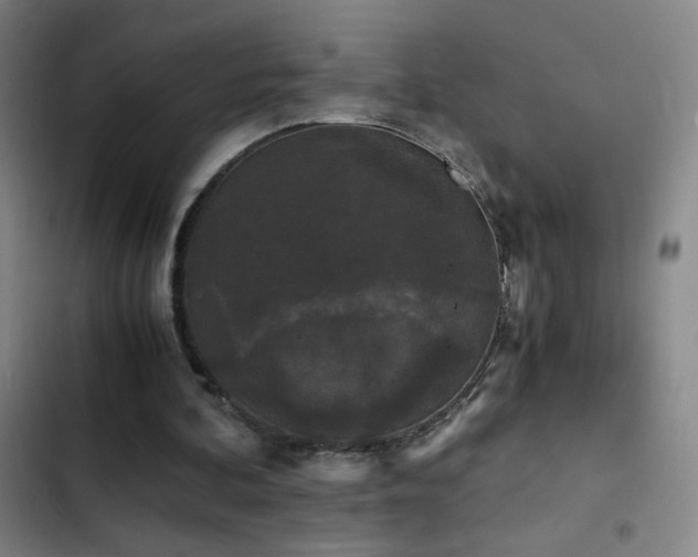 X0000103310292200808291435