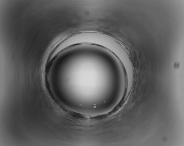 X0000103310293200808291435