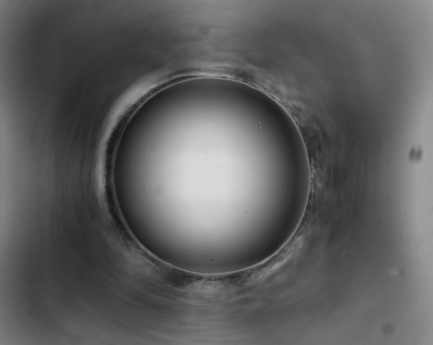 X0000103310294200808291435