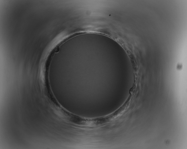 X0000103310295200808291435