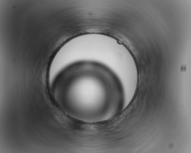X0000103310297200808291435