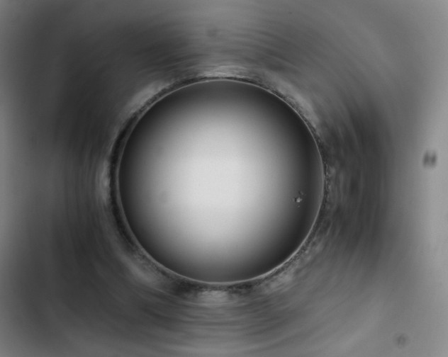 X0000103310298200808291435