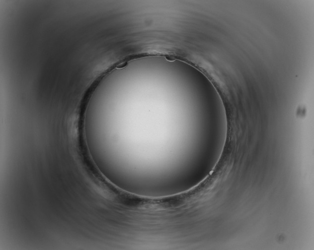 X0000103310299200808291435