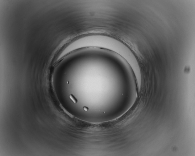 X0000103310300200808291435