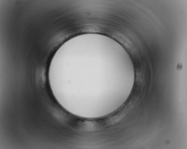 X0000103310302200808291435