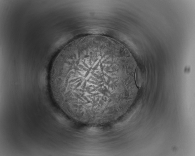 X0000103310303200808291435
