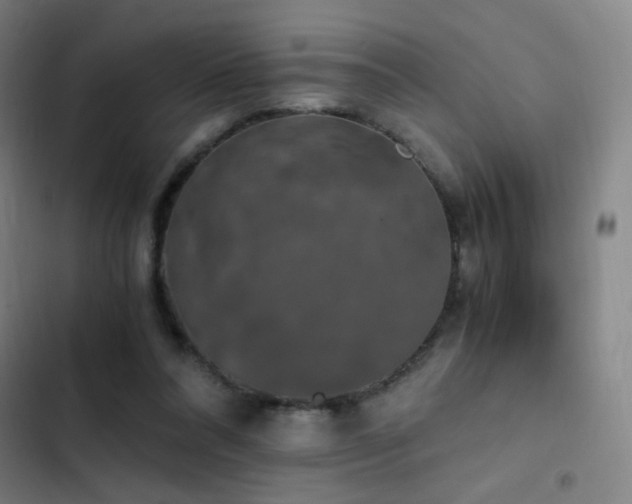 X0000103310304200808291435