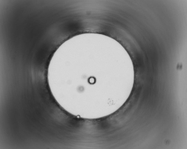 X0000103310305200808291435