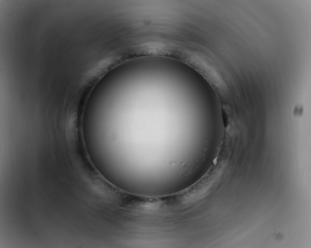 X0000103310306200808291435