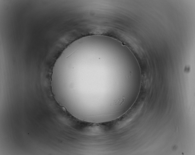 X0000103310307200808291435