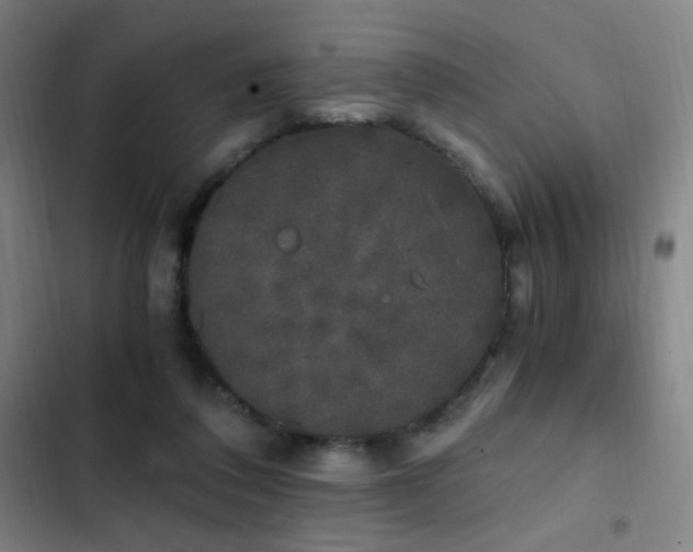 X0000103310308200808291435