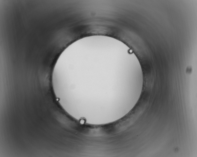X0000103310309200808291435