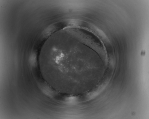 X0000103310312200808291435