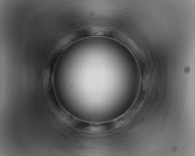 X0000103310314200808291435