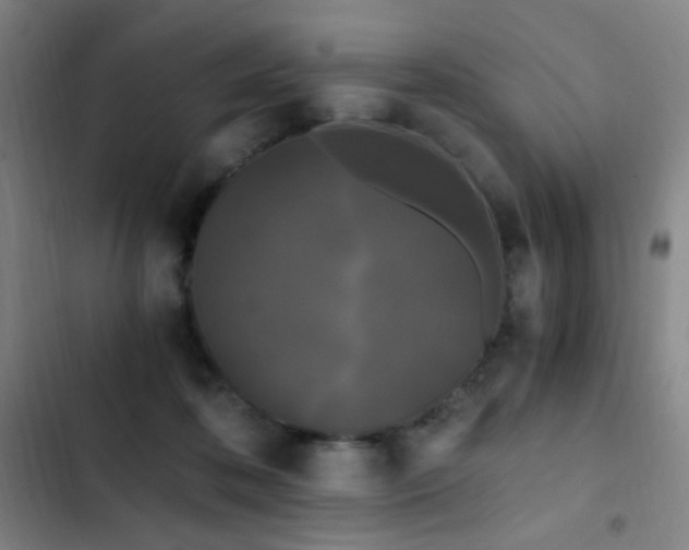X0000103310316200808291435