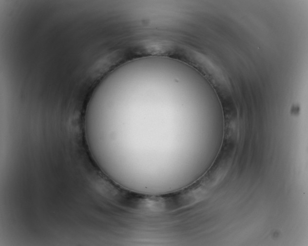 X0000103310317200808291435