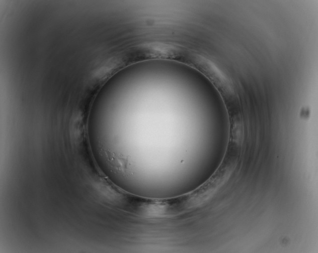 X0000103310318200808291435