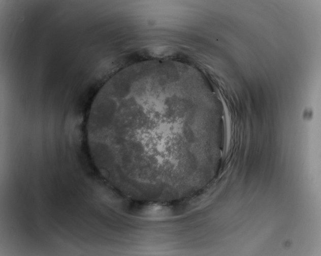 X0000103310319200808291435
