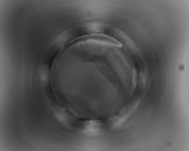 X0000103310320200808291435
