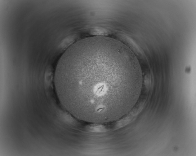 X0000103310322200808291435