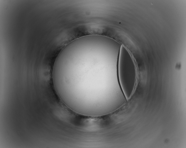 X0000103310323200808291435