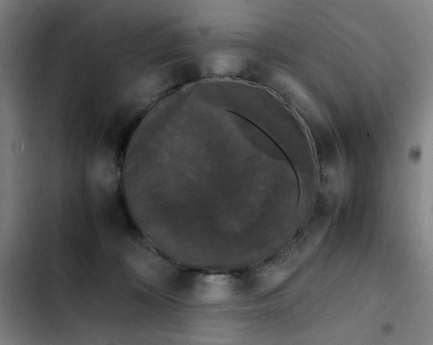 X0000103310324200808291435
