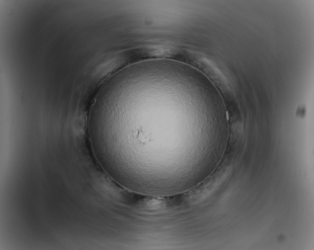 X0000103310325200808291435