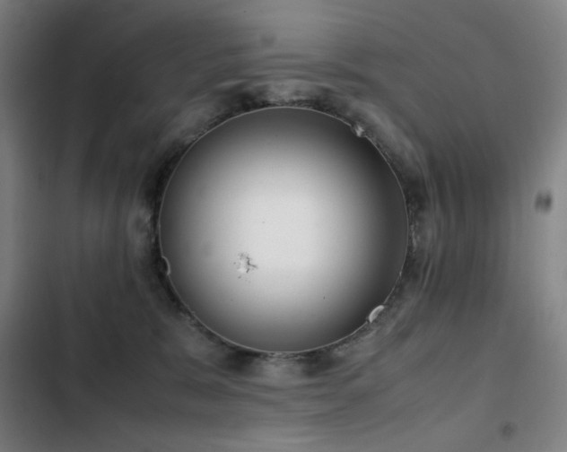 X0000103310327200808291435