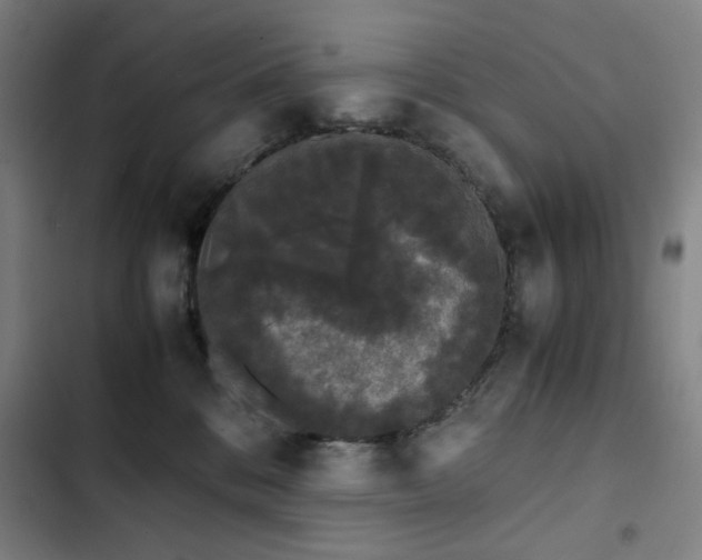 X0000103310328200808291435