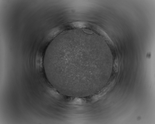 X0000103310330200808291435