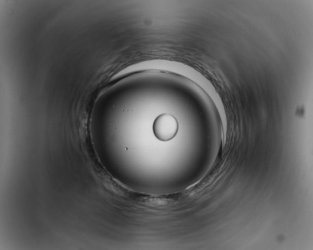 X0000103310332200808291435