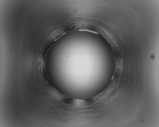 X0000103310333200808291435