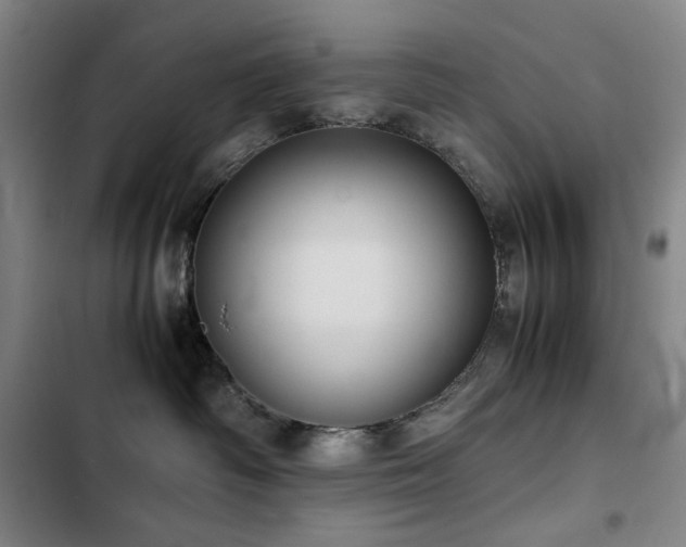 X0000103310334200808291435