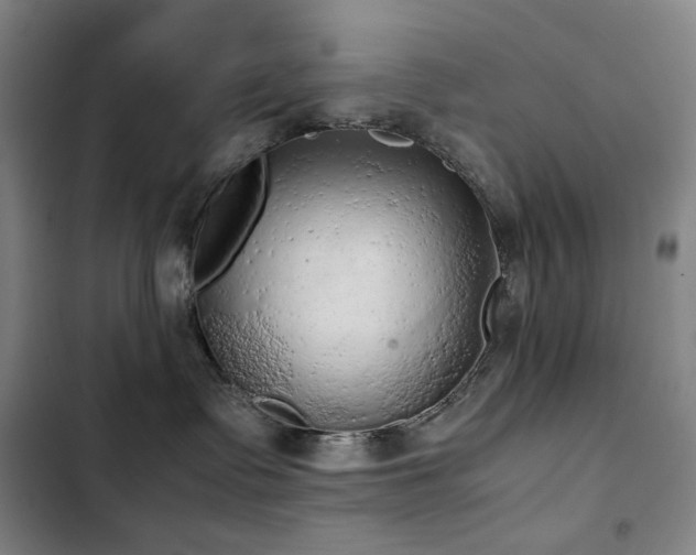 X0000103310335200808291435