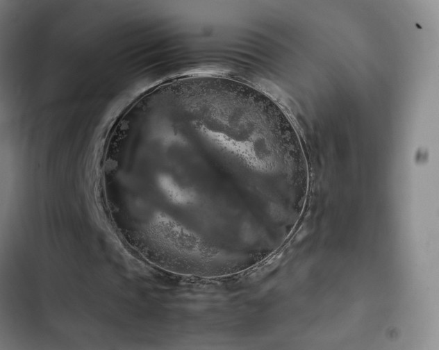 X0000103310337200808291434