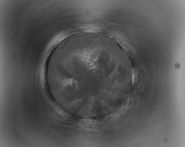 X0000103310339200808291434