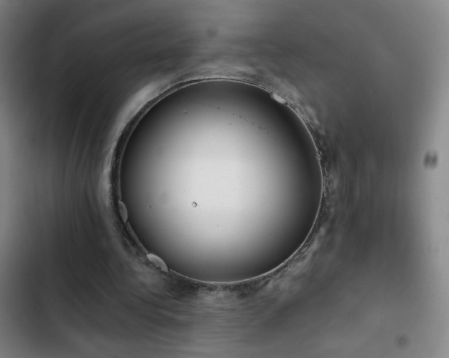 X0000103310340200808291434