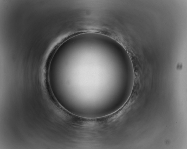 X0000103310342200808291434