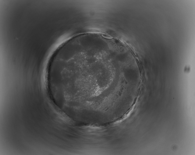 X0000103310343200808291434