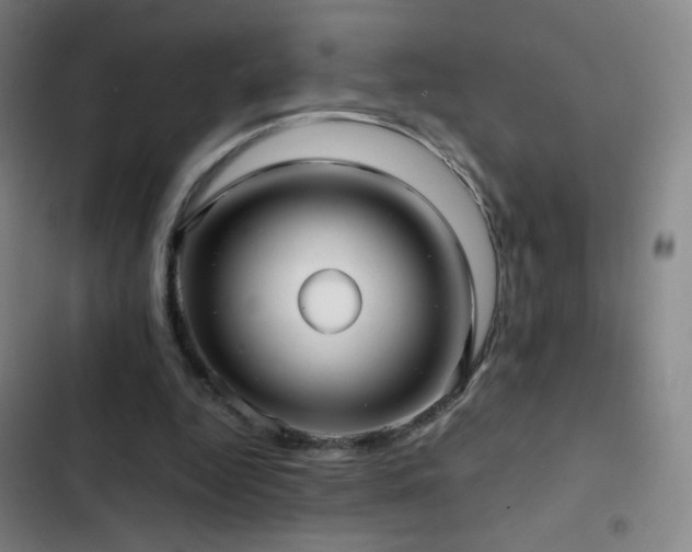 X0000103310344200808291434