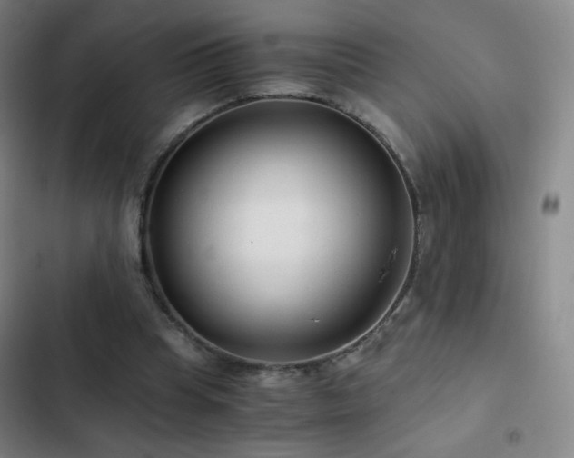 X0000103310345200808291434
