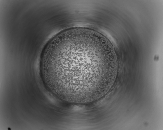 X0000103310346200808291434